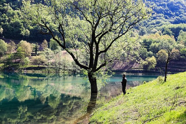 Man at lake with trees in spring