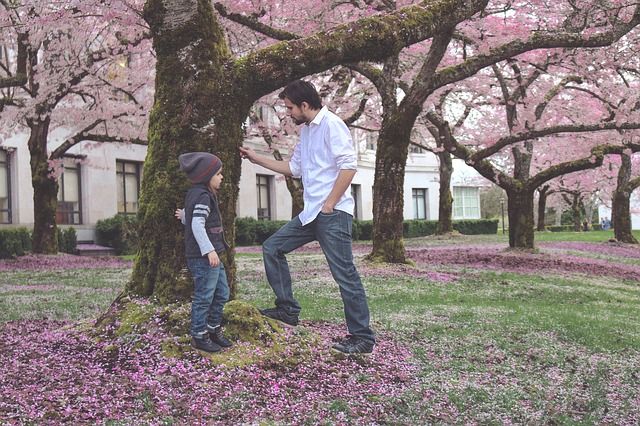 father and son looking at tree